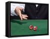 Croupier Throwing A Pair of Dice-AndreyPopov-Framed Stretched Canvas