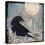 Crow and Moon-Sue Davis-Stretched Canvas