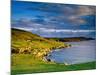 Crow Head at Dursey Sound Near Allihies, Allihies, Ireland-Richard Cummins-Mounted Photographic Print