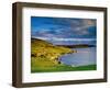 Crow Head at Dursey Sound Near Allihies, Allihies, Ireland-Richard Cummins-Framed Photographic Print