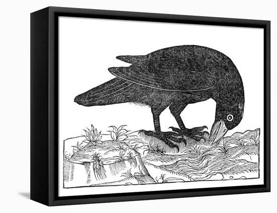 Crow, Historical Artwork-Middle Temple Library-Framed Stretched Canvas