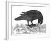 Crow, Historical Artwork-Middle Temple Library-Framed Photographic Print