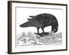 Crow, Historical Artwork-Middle Temple Library-Framed Photographic Print