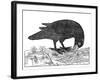 Crow, Historical Artwork-Middle Temple Library-Framed Photographic Print