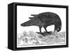 Crow, Historical Artwork-Middle Temple Library-Framed Stretched Canvas