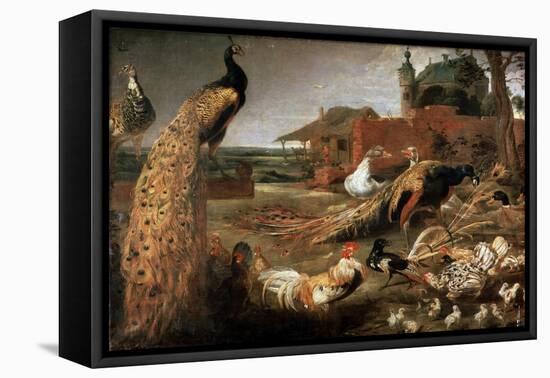 Crow in Peacock's Fathers, C1615-1690-Pauwel de Vos-Framed Stretched Canvas