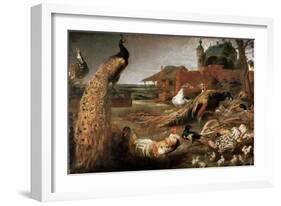 Crow in Peacock's Fathers, C1615-1690-Pauwel de Vos-Framed Giclee Print