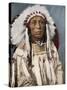 Crow Indian Chief in a Traditional War Bonnet and Clothing, circa 1900-null-Stretched Canvas