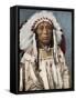 Crow Indian Chief in a Traditional War Bonnet and Clothing, circa 1900-null-Framed Stretched Canvas