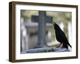 Crow on a Grave, Paris, Ile De France, France, Europe-Godong-Framed Photographic Print