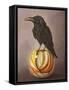 Crow on a Marble-Leah Saulnier-Framed Stretched Canvas