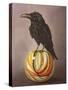 Crow on a Marble-Leah Saulnier-Stretched Canvas