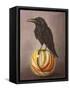 Crow on a Marble-Leah Saulnier-Framed Stretched Canvas