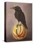 Crow on a Marble-Leah Saulnier-Stretched Canvas