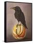 Crow on a Marble-Leah Saulnier-Framed Stretched Canvas