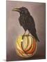 Crow on a Marble-Leah Saulnier-Mounted Giclee Print