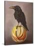 Crow on a Marble-Leah Saulnier-Stretched Canvas