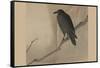 Crow on a Willow Branch-null-Framed Stretched Canvas