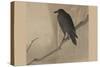 Crow on a Willow Branch-null-Stretched Canvas