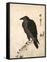 Crow Resting on Wood Trunk-Kyosai Kawanabe-Framed Stretched Canvas