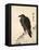 Crow Resting on Wood Trunk-Kyosai Kawanabe-Framed Stretched Canvas