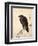 Crow Resting on Wood Trunk-Kyosai Kawanabe-Framed Giclee Print