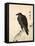 Crow Resting on Wood Trunk-Kyosai Kawanabe-Framed Stretched Canvas