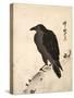 Crow Resting on Wood Trunk-Kyosai Kawanabe-Stretched Canvas