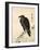 Crow Resting on Wood Trunk-Kyosai Kawanabe-Framed Giclee Print