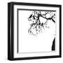 Crow Tree-artshock-Framed Art Print