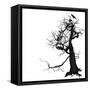 Crow Tree-artshock-Framed Stretched Canvas