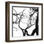 Crow Tree-artshock-Framed Art Print