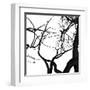 Crow Tree-artshock-Framed Art Print