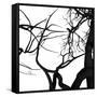 Crow Tree-artshock-Framed Stretched Canvas