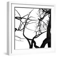 Crow Tree-artshock-Framed Art Print