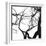 Crow Tree-artshock-Framed Art Print