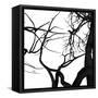 Crow Tree-artshock-Framed Stretched Canvas