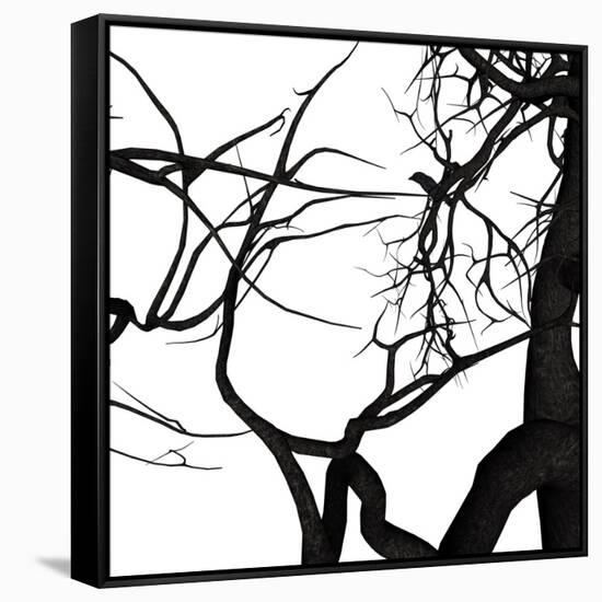 Crow Tree-artshock-Framed Stretched Canvas