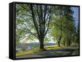 Crow Valley, Orcas Island, Washington, USA-Charles Gurche-Framed Stretched Canvas