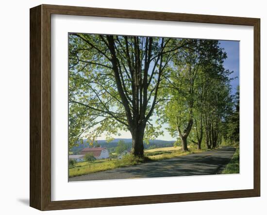 Crow Valley, Orcas Island, Washington, USA-Charles Gurche-Framed Premium Photographic Print