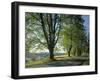 Crow Valley, Orcas Island, Washington, USA-Charles Gurche-Framed Premium Photographic Print