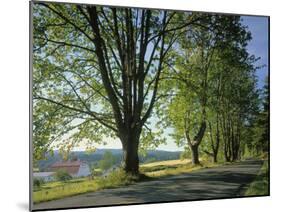 Crow Valley, Orcas Island, Washington, USA-Charles Gurche-Mounted Premium Photographic Print