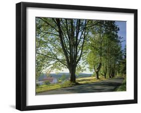 Crow Valley, Orcas Island, Washington, USA-Charles Gurche-Framed Photographic Print