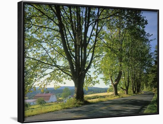 Crow Valley, Orcas Island, Washington, USA-Charles Gurche-Framed Photographic Print