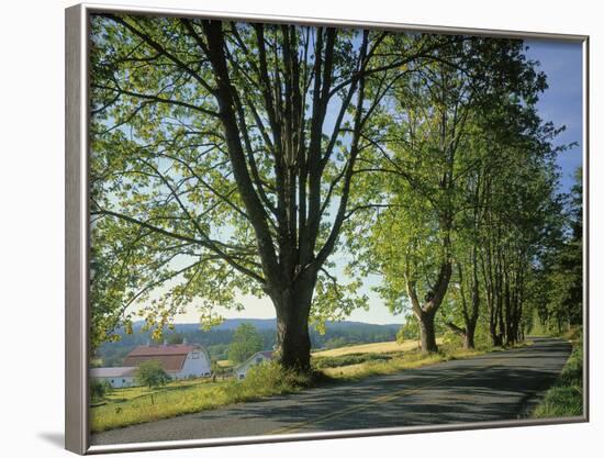 Crow Valley, Orcas Island, Washington, USA-Charles Gurche-Framed Photographic Print