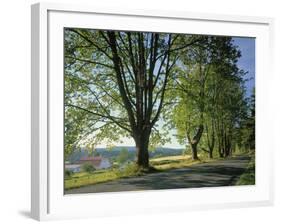 Crow Valley, Orcas Island, Washington, USA-Charles Gurche-Framed Photographic Print