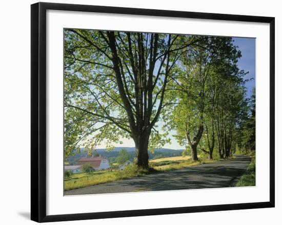 Crow Valley, Orcas Island, Washington, USA-Charles Gurche-Framed Photographic Print