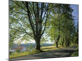 Crow Valley, Orcas Island, Washington, USA-Charles Gurche-Mounted Photographic Print