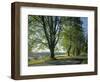 Crow Valley, Orcas Island, Washington, USA-Charles Gurche-Framed Photographic Print