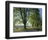 Crow Valley, Orcas Island, Washington, USA-Charles Gurche-Framed Photographic Print